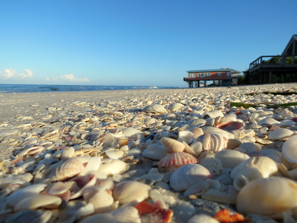 Boca Grande coastal landscape